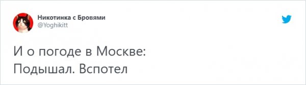 Пользователи шутят о жаре, от которой мучаются в Москве (15 фото)