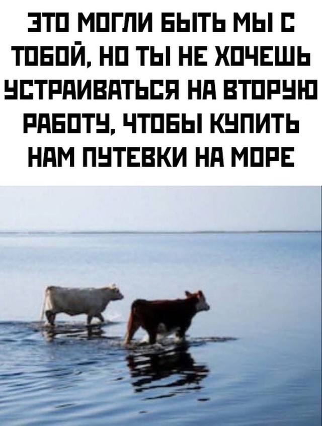 Подборка прикольных фото №2711 (30 фото)
