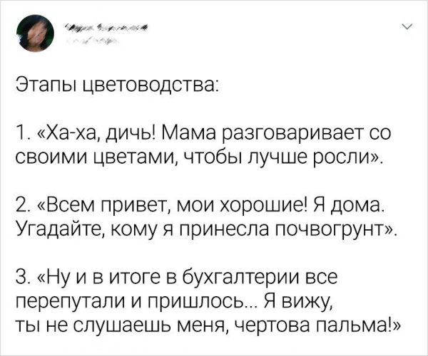 Подборка забавных твитов (15 фото)
