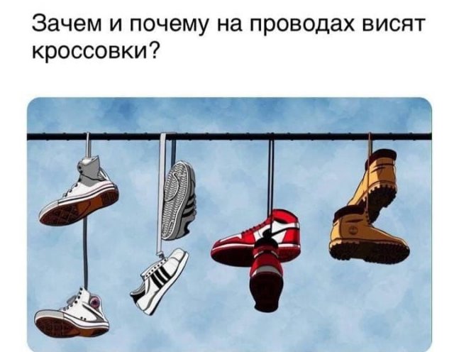 Забавные рассуждения экспертов которым еще нужно научиться (16 фото)