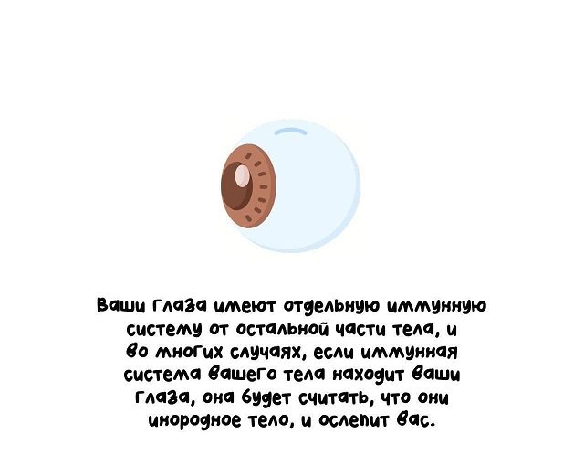 Интересные факты на все случаи жизни (15 фото)