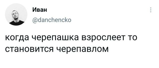 Подборка забавных твитов обо всем (14 фото)