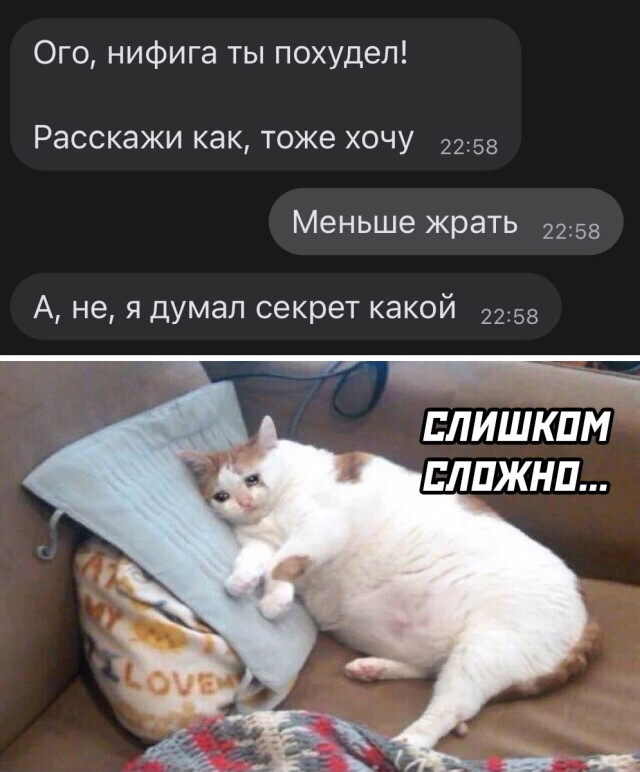 Подборка прикольных фото №2715 (30 фото)