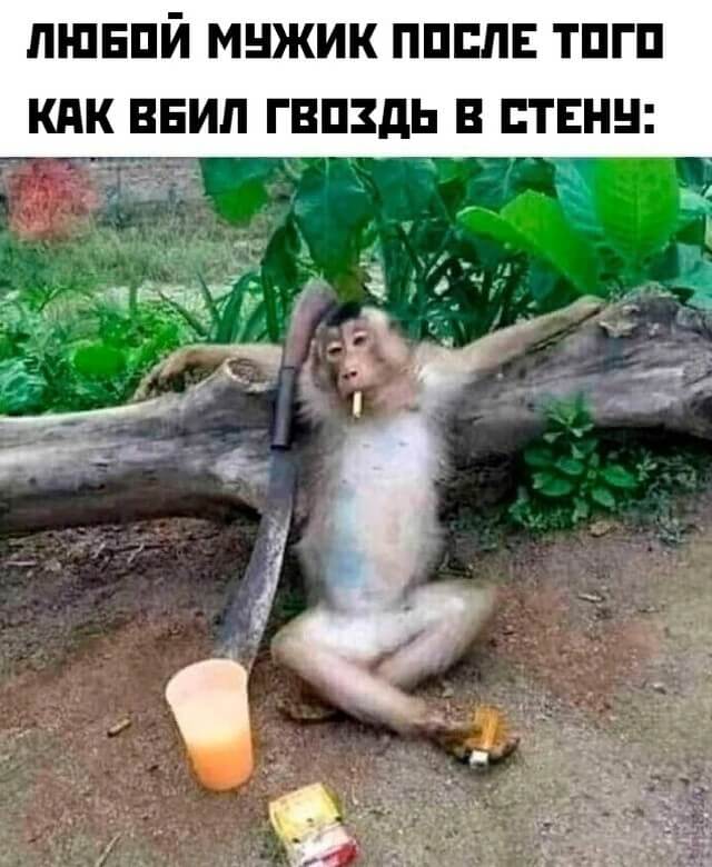 Подборка прикольных фото №2716 (30 фото)