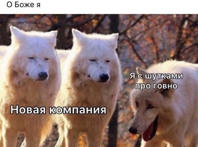 Лучшие шутки и мемы из Сети (15 фото)