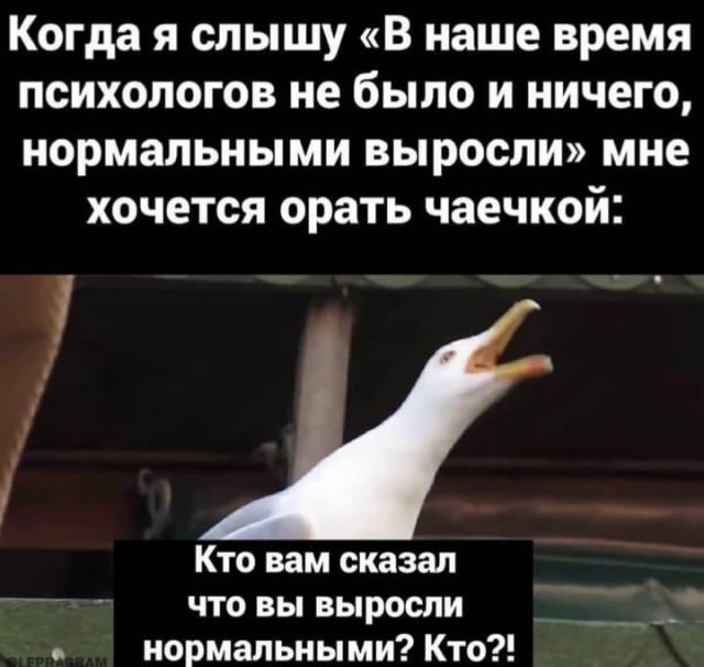 Лучшие шутки и мемы из Сети (15 фото)