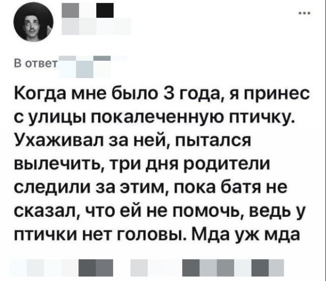 Черный юмор (15 фото)