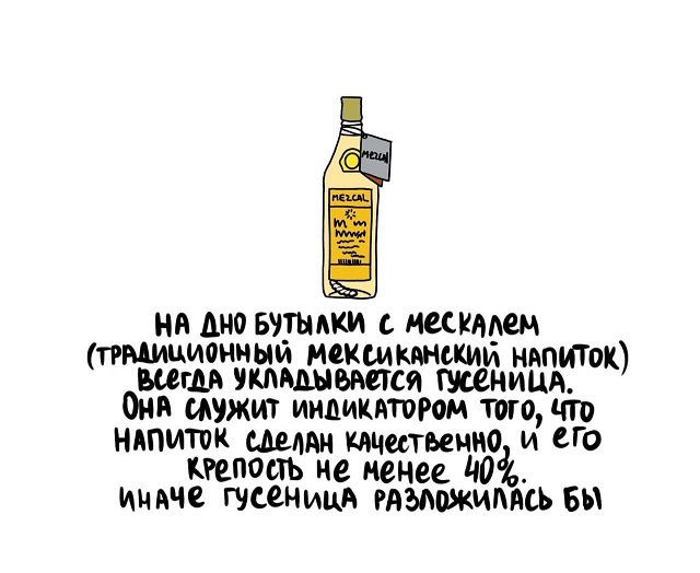 Интересные факты на все случаи жизни (15 фото)