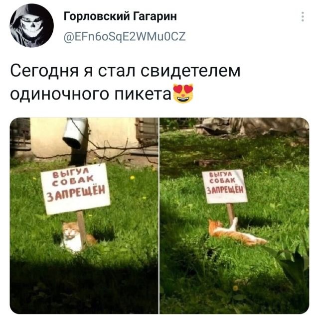 Подборка забавных твитов обо всем (15 фото)