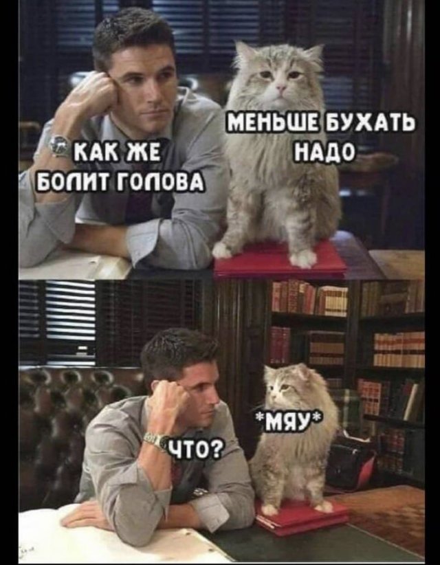 Лучшие шутки и мемы из Сети (14 фото)