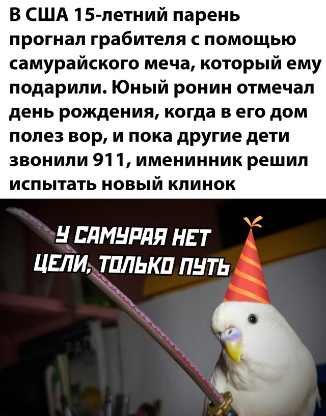 Подборка прикольных фото №2725 (30 фото)