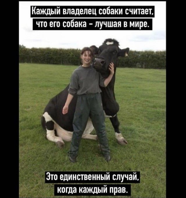 Шутки и мемы из Сети (15 фото)