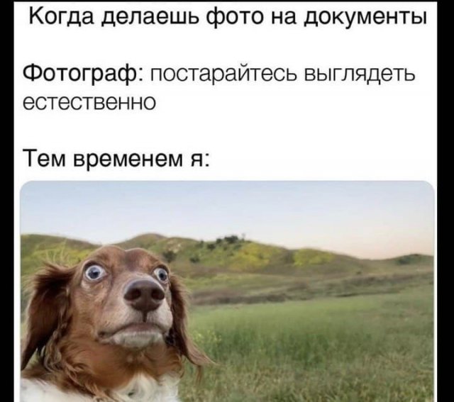 Шутки и мемы из Сети (15 фото)