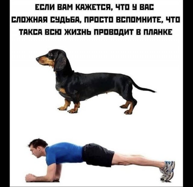 Шутки и мемы из Сети (15 фото)
