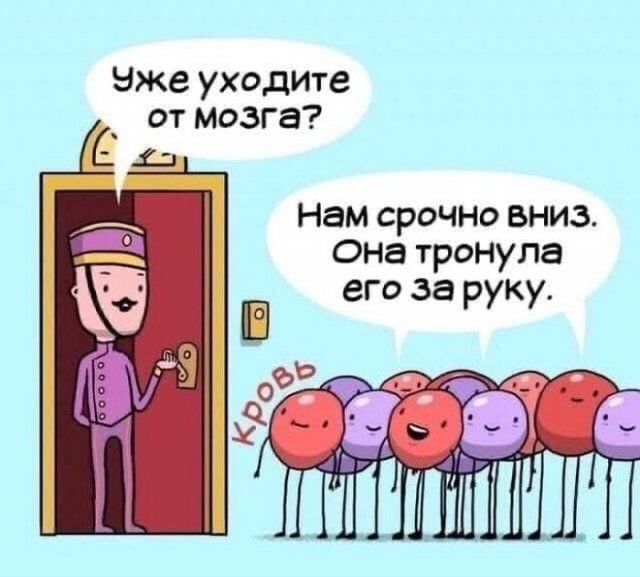 Мемы и приколы про отношения и "кое-что еще" (15 фото)