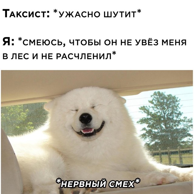Подборка прикольных фото №2729 (30 фото)