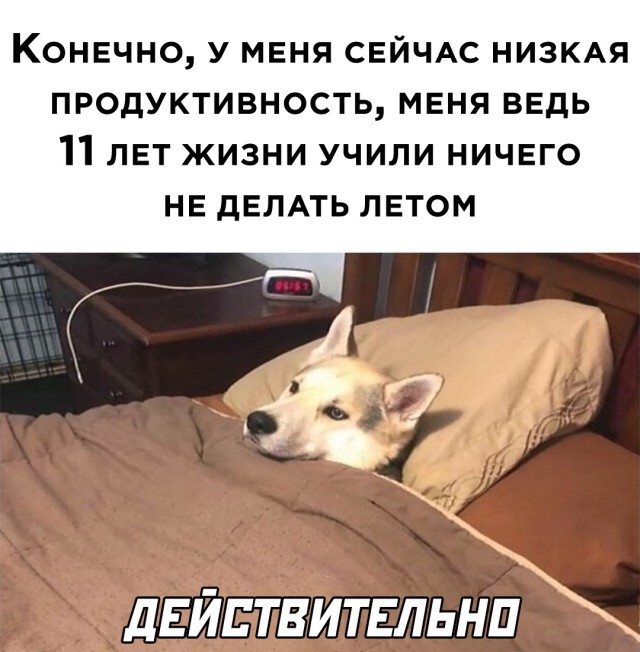 Подборка прикольных фото №2731 (30 фото)