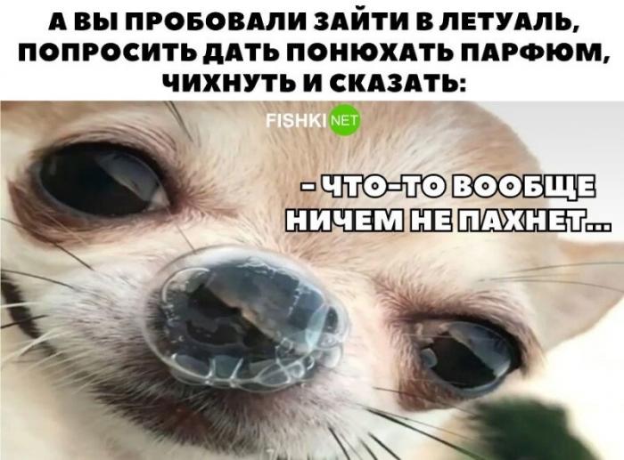 Смешные картинки из соц сетей (13 фото)