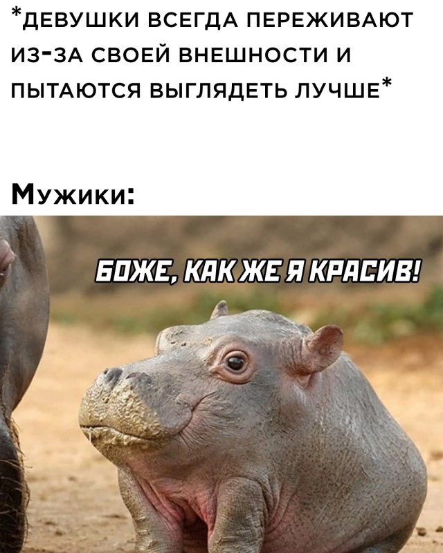 Подборка прикольных фото №2736 (30 фото)