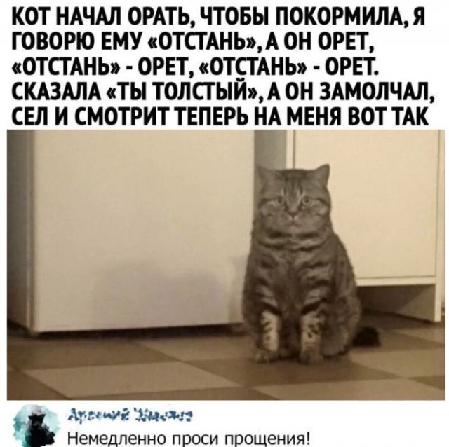 Смешные комментарии к постам в социальных сетях (5 фото)