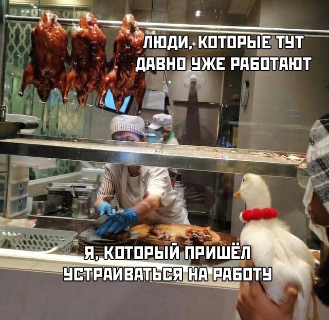 Подборка прикольных фото №2737 (30 фото)