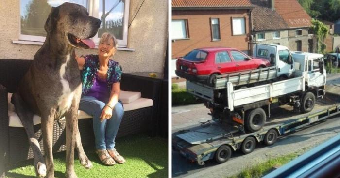 16 случаев, когда у людей были фотографии, чтобы доказать их невероятные истории (16 фото)