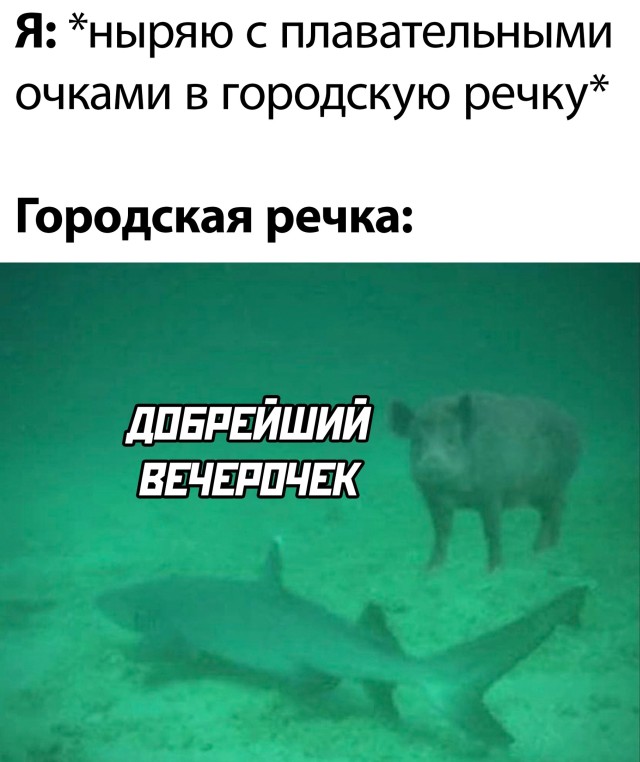 Подборка прикольных фото №2738 (30 фото)