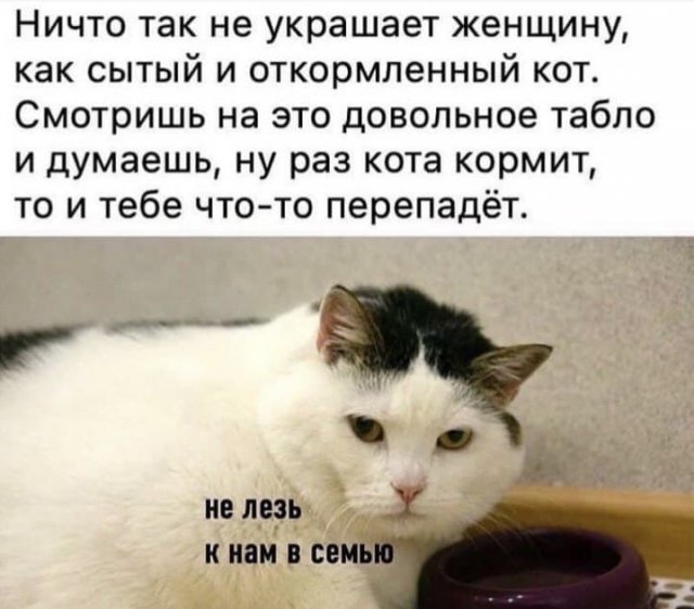 Шутки и мемы из Сети (15 фото)