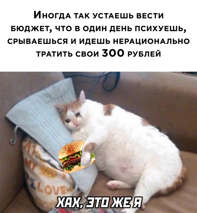 Подборка прикольных фото №2744 (30 фото)