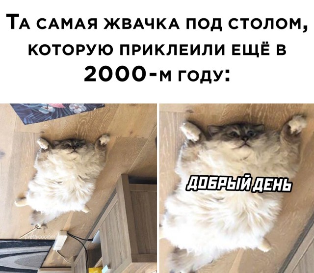 Подборка прикольных фото №2744 (30 фото)