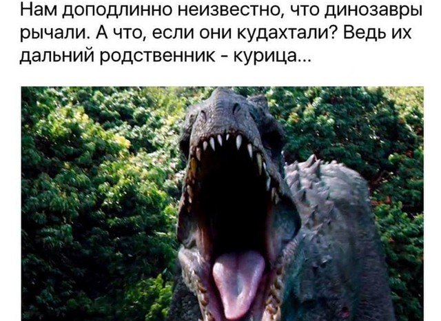 Новая порция забавных философских размышлений (5 фото)