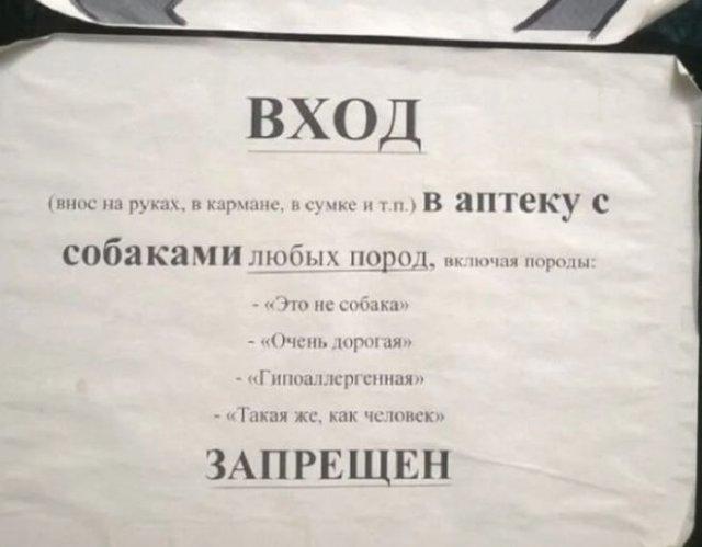 Немного об аптеках (10 фото)