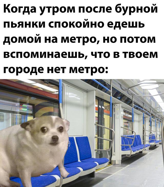 Подборка прикольных фото №2882 (30 фото)