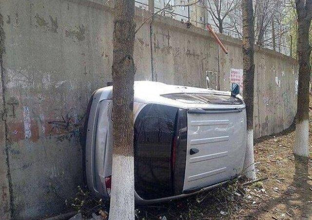 Фотографии из серии "Что здесь происходит?" (14 фото)