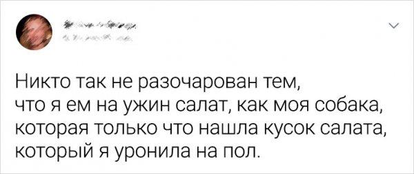Подборка твитов о животных (11 фото)