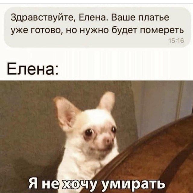 Ошибки и опечатки, которых можно было бы избежать (18 фото)