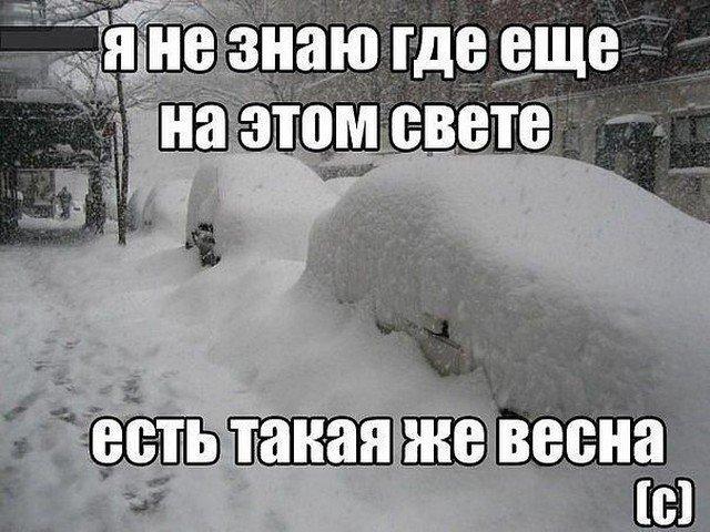 В соцсетях радуются первому дню весны (15 фото)