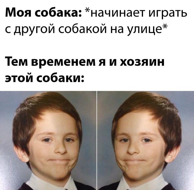 Подборка прикольных фото №2877 (30 фото)