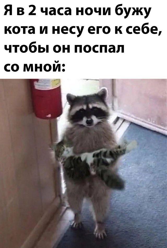 Подборка прикольных фото №2877 (30 фото)