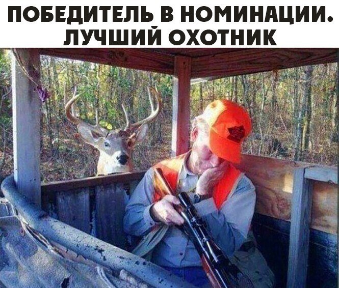 Смешные и познавательные картинки (10 фото)