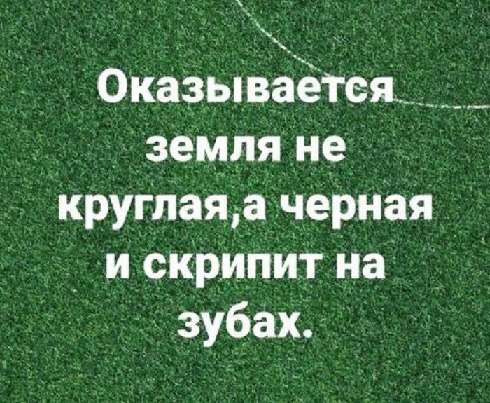 Анекдоты в картинках (12 фото)
