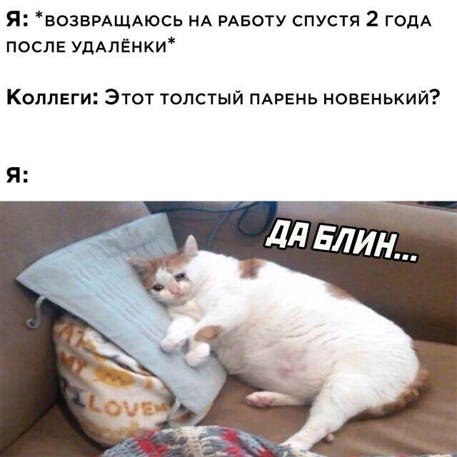 Подборка прикольных фото №2883 (30 фото)