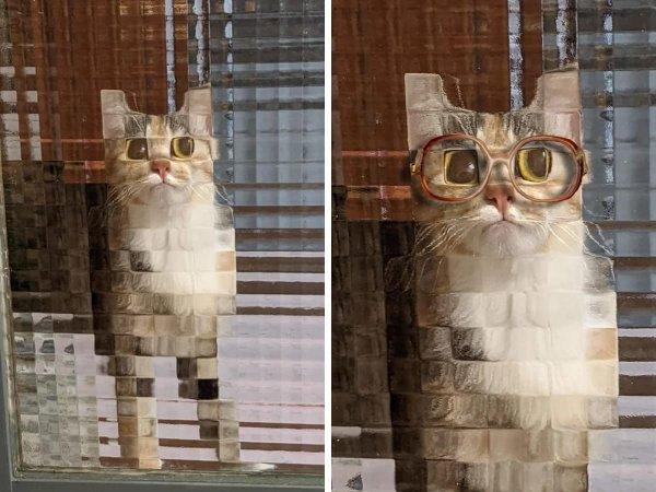 Забавные снимки, которые стали участниками фотошоп-баттлов (16 фото)