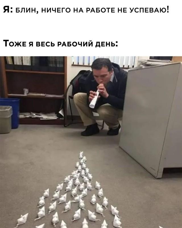 Подборка прикольных фото №2891 (30 фото)