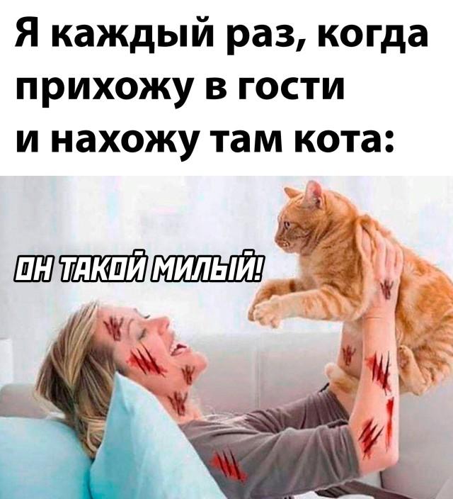 Подборка прикольных фото №2892 (30 фото)