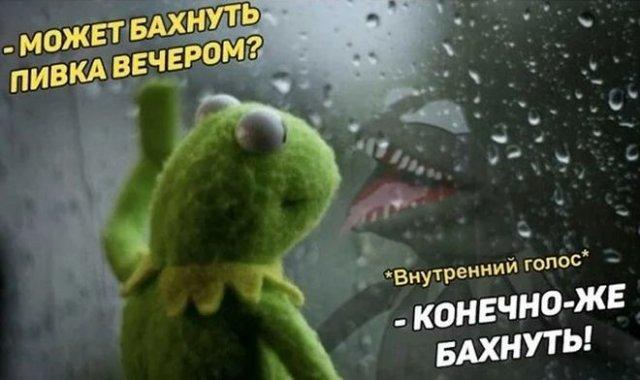 Немного об алкоголе (15 фото)