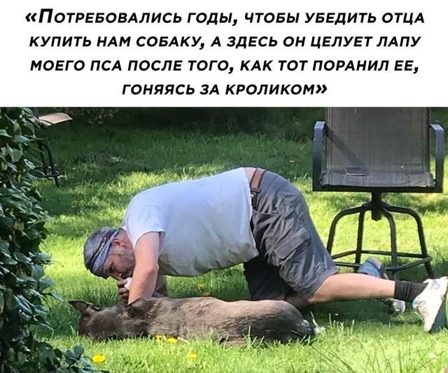 Подборка прикольных фото №2899 (30 фото)