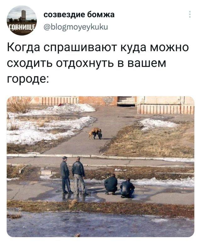 Подборка забавных твитов обо всем (15 фото)