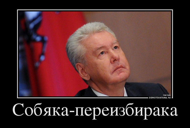 Собяка-переизбирака