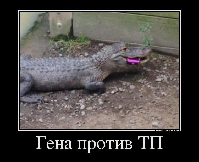 Гена против ТП